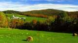 DAIRY